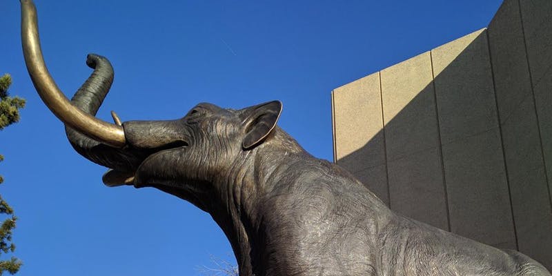 City Park and Denver Museum of Nature and Science Campus Tour