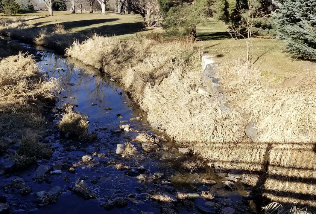 Urban Arts Fund Youth Program