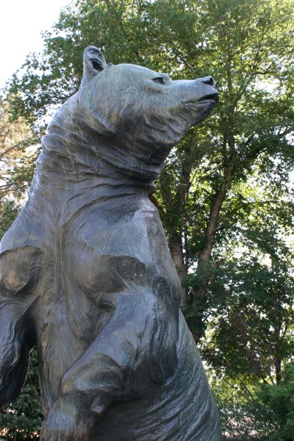 Grizzly’s Last Stand