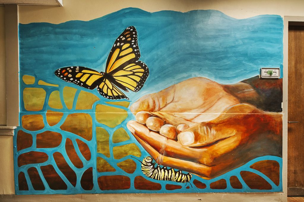 Go to the Untitled (hands releasing a monarch butterfly) page
