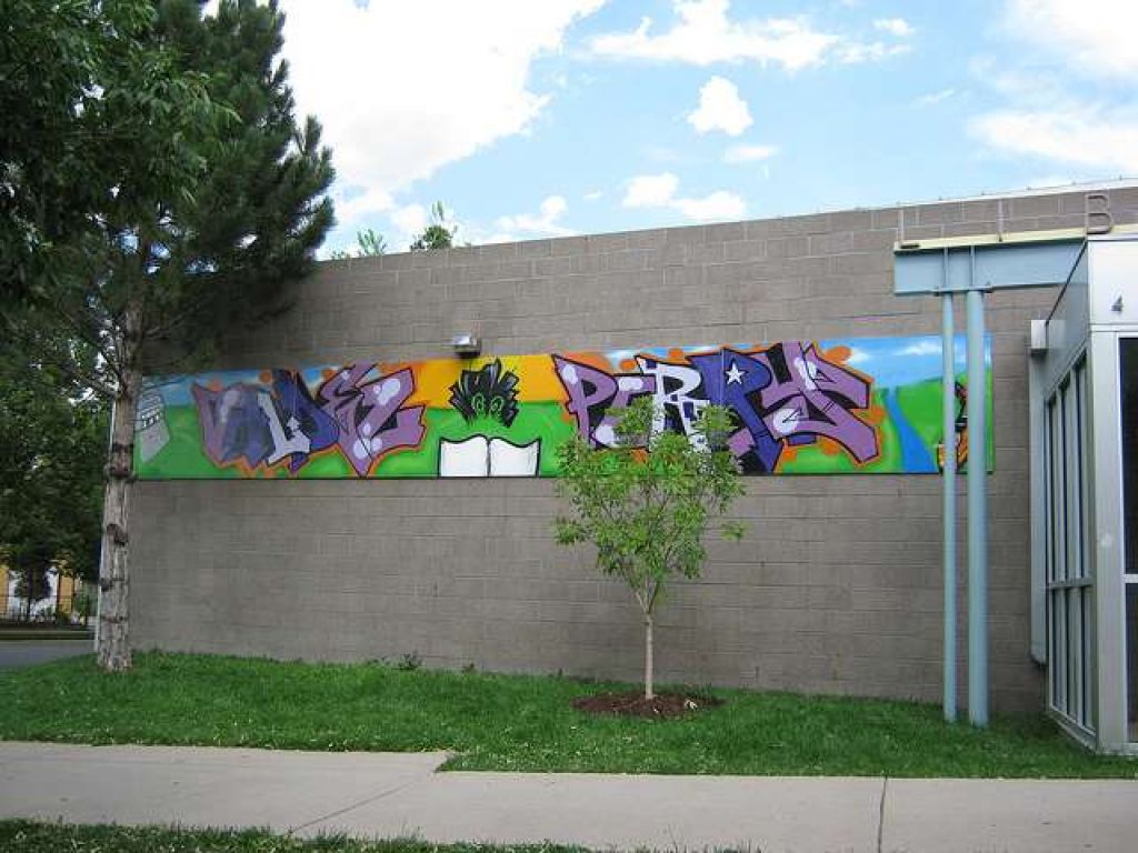 Go to the Denver Public Library Summer of Reading and Graffiti Prevention Program page